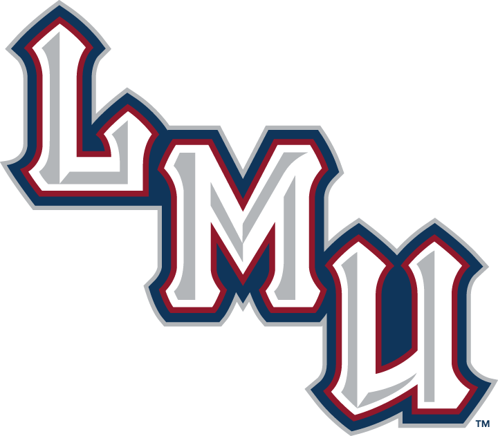 Loyola Marymount Lions 2001-Pres Wordmark Logo t shirts iron on transfers v2